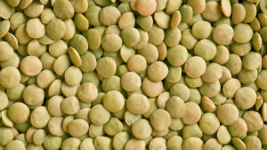 how long do lentils last